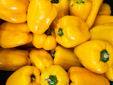 50 YELLOW Cheese PIMENTO PEPPER Capsicum Annuum Vegetable Seeds